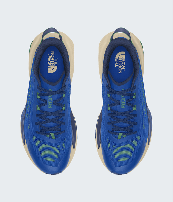 Tênis Masculino Altamesa 500 V2 TNF - AZUL